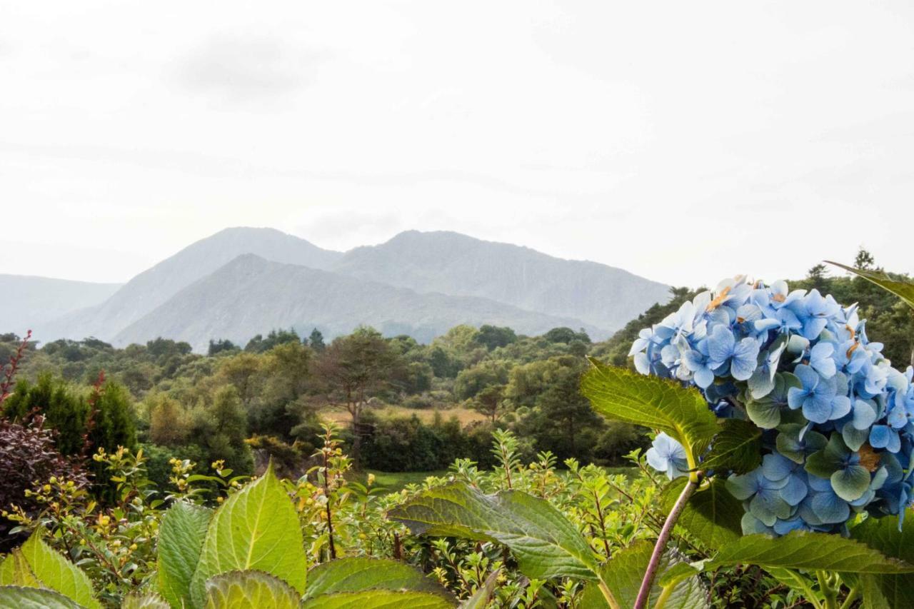 Mountain View B&B Lauragh Dış mekan fotoğraf